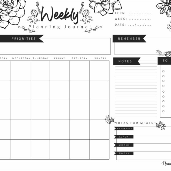 EWBJ006 - Succulants