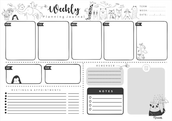 EWBJ007 - Intothewild