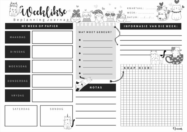 AWBJ0009 - LIEFKATTE