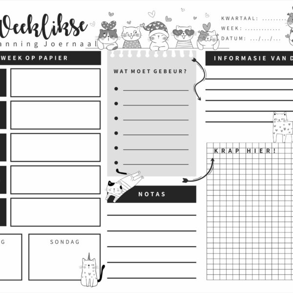 AWBJ0009 - LIEFKATTE