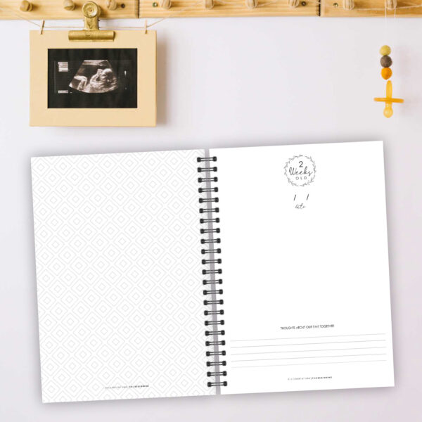 PJ005 - Pregnancy & 1st Year Journal
