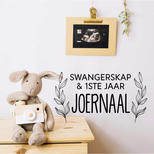 SJ010 - Swangerskap & 1ste Jaar Joernaal