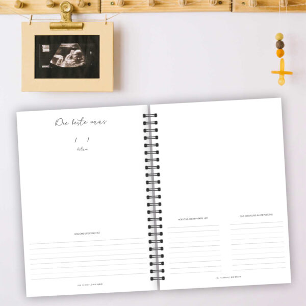 SJ010 - Swangerskap & 1ste Jaar Joernaal