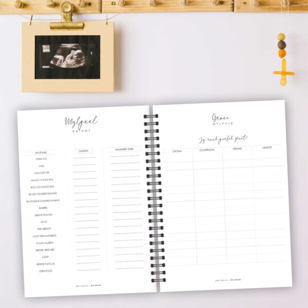 SJ010 - Swangerskap & 1ste Jaar Joernaal