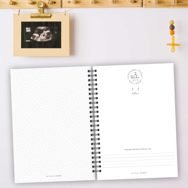 SJ010 - Swangerskap & 1ste Jaar Joernaal