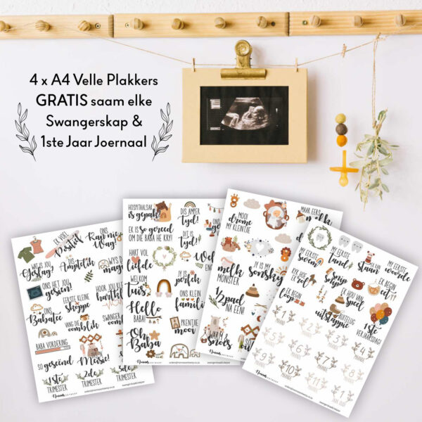 SJ010 - Swangerskap & 1ste Jaar Joernaal