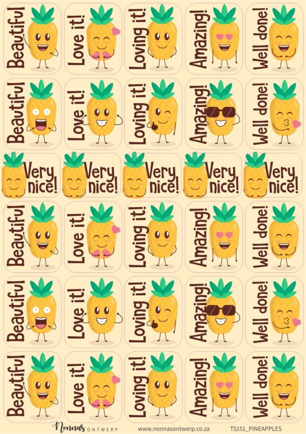 TS151_PINEAPPLES