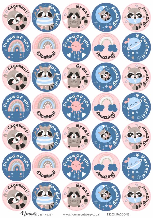 TS203_RACOONS